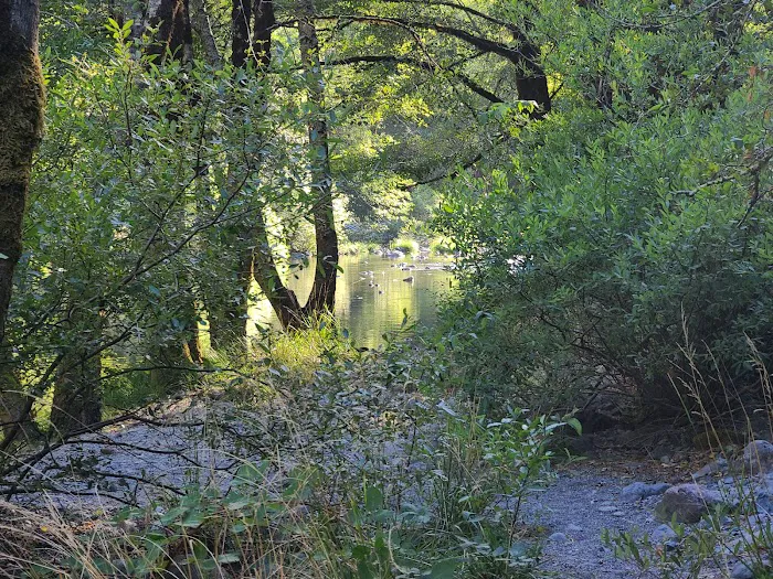Patrick Creek Campground Picture 3