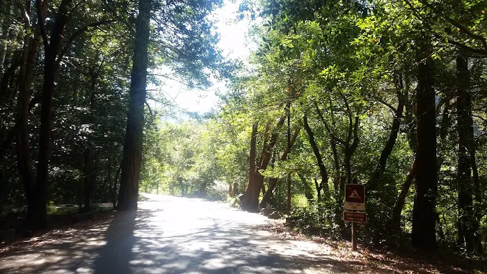 Patrick Creek Campground Picture 8
