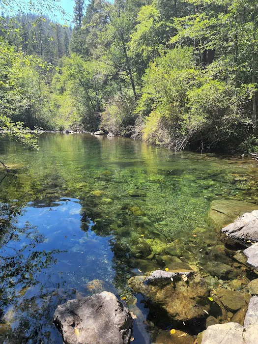 Shelly Creek Campground Picture 7