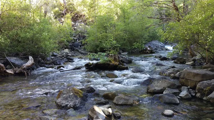 Dispersed Camping Patrick Creek Picture 7