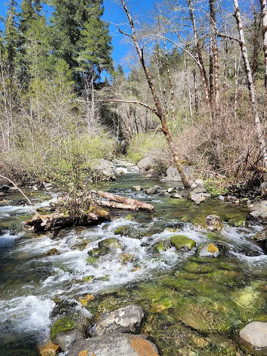 Dispersed Camping Patrick Creek Picture 2