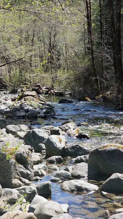 Dispersed Camping Patrick Creek Picture 1