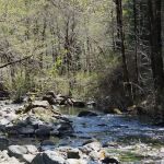 Dispersed Camping Patrick Creek