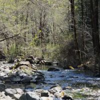 Dispersed Camping Patrick Creek ico