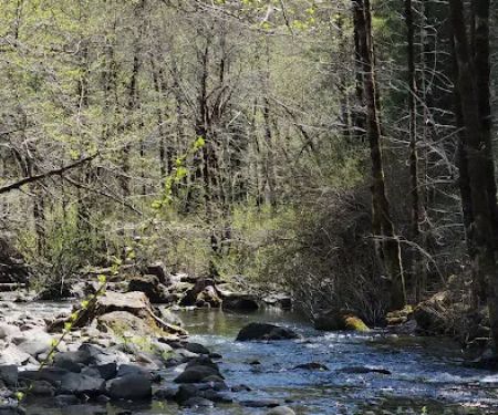 Dispersed Camping Patrick Creek