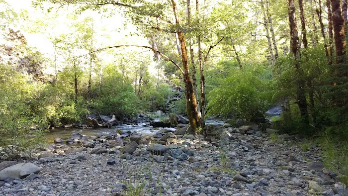 Dispersed Camping Patrick Creek Picture 5
