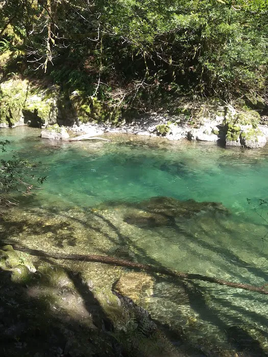 Ludlum Campground Picture 6