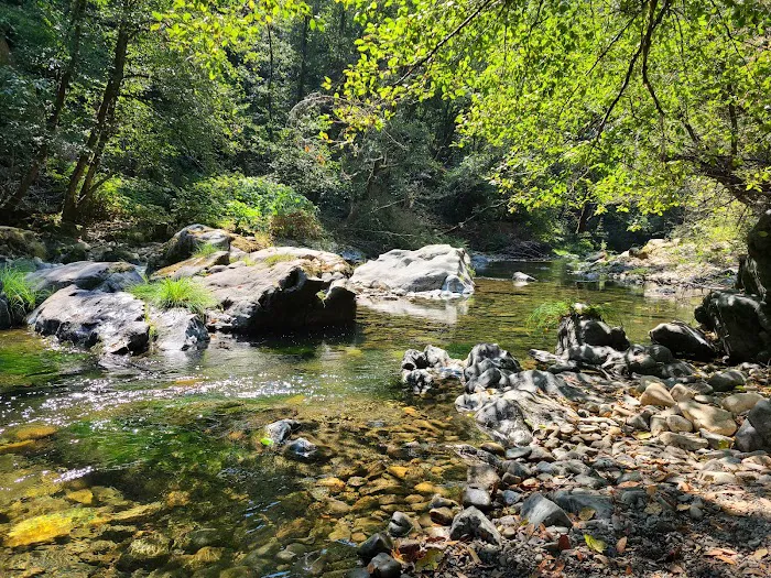 Ludlum Campground Picture 5
