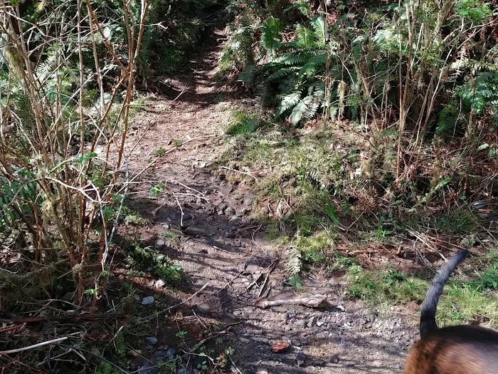 Ludlum Campground Picture 10