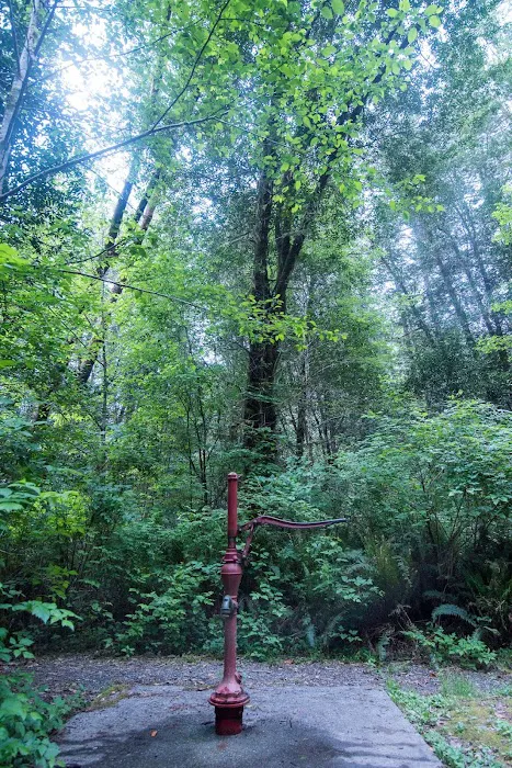 Ludlum Campground Picture 4