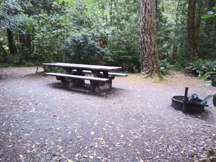 Ludlum Campground Picture 9