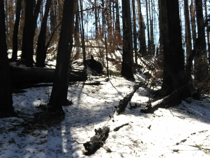 Japanese Bombing Site Trailhead (recgovnpsdata) Picture 9