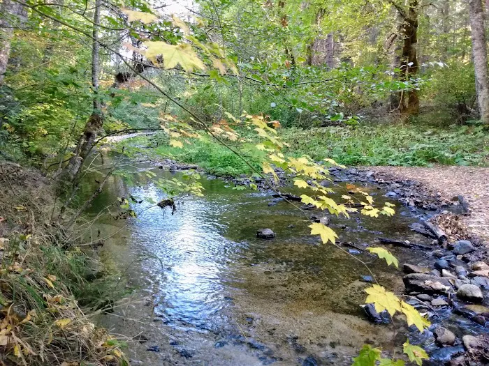 Elderberry Flats Campground and Picnic Area Picture 3