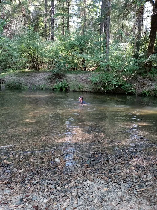 Elderberry Flats Campground and Picnic Area Picture 2