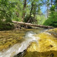 Elderberry Flats Campground and Picnic Area ico