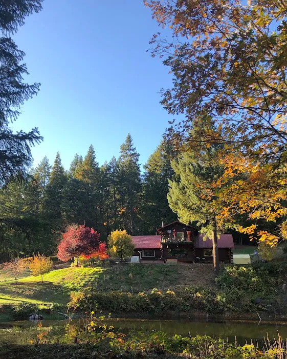 Sunny Valley Resort Picture 4