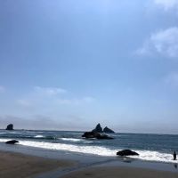 Sunny Valley Resort ico