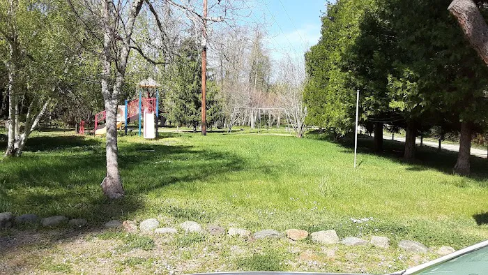 Redwood Hwy Campground Picture 9