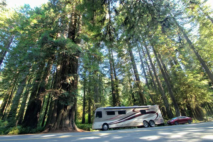 Redwood Hwy Campground Picture 10