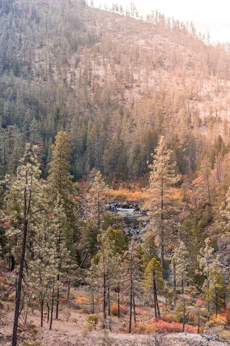 Little Falls Campground Picture 2