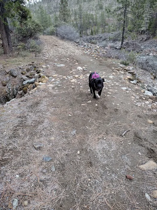 Josephine Camp Campground Picture 3