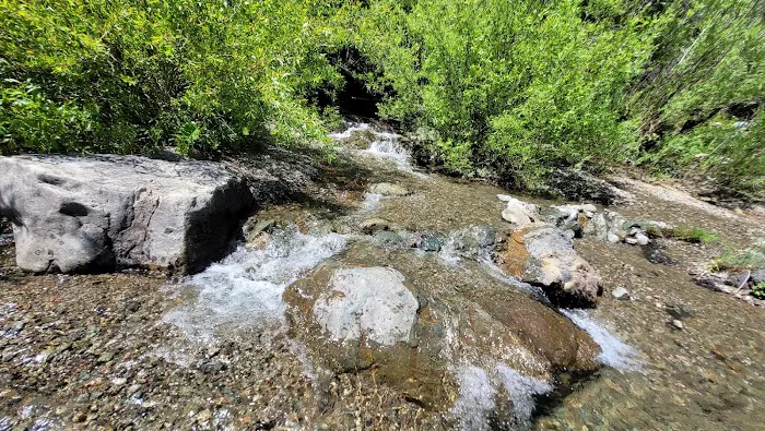 Six Mile Campground Picture 9