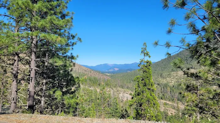 Six Mile Campground Picture 6