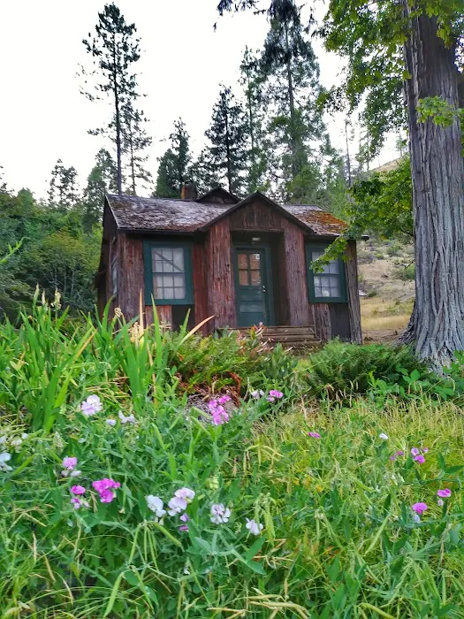 Store Gulch Campground Picture 8