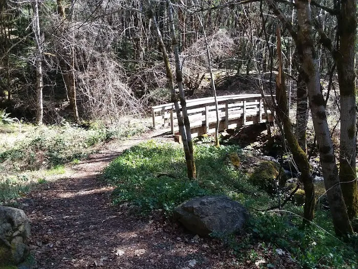 Store Gulch Campground Picture 2