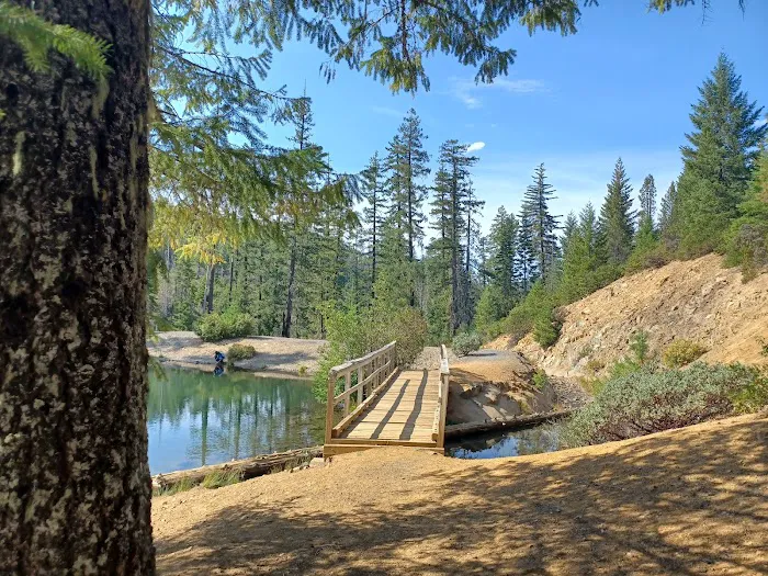Spalding Pond Campground Picture 2