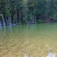 Spalding Pond Campground ico