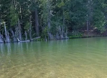 Spalding Pond Campground