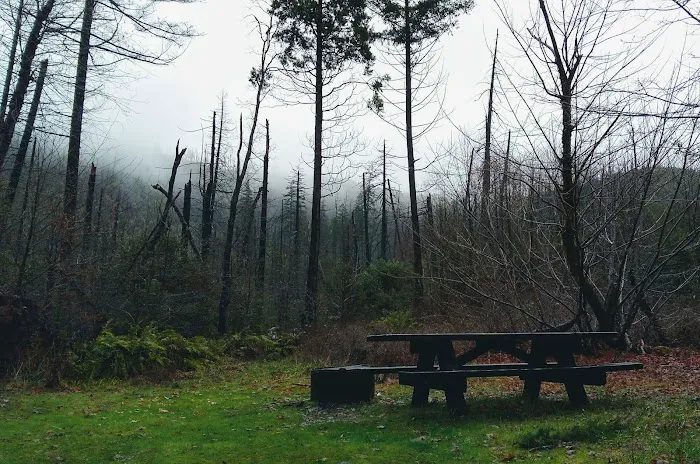 Briggs Creek Campground Picture 3