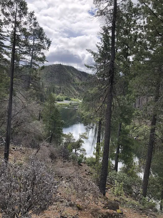 Briggs Creek Campground Picture 4