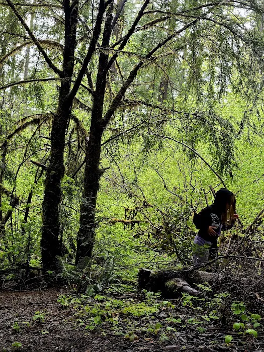 Secret Creek Campground Picture 1