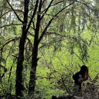 Secret Creek Campground ico
