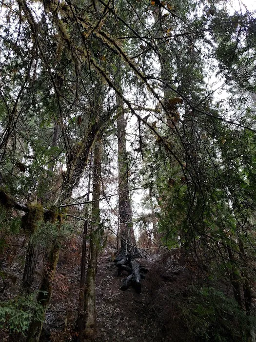 Secret Creek Campground Picture 10