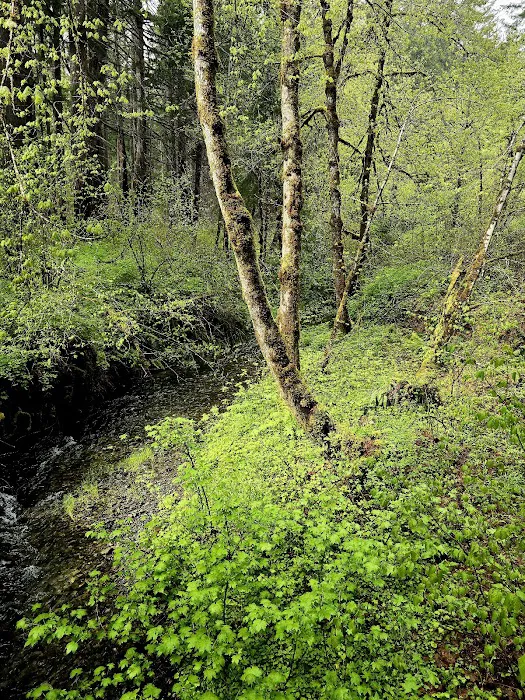 Secret Creek Campground Picture 4