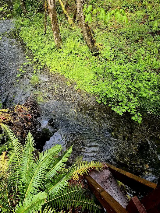 Secret Creek Campground Picture 2