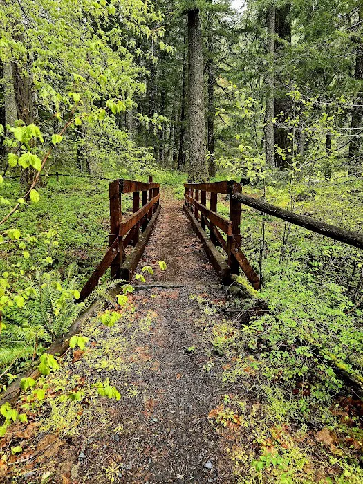 Secret Creek Campground Picture 9