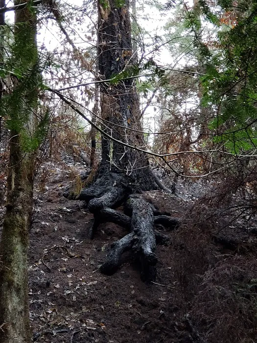 Secret Creek Campground Picture 5
