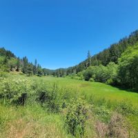 Sam Brown Horse Camp ico