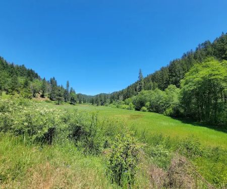 Sam Brown Horse Camp