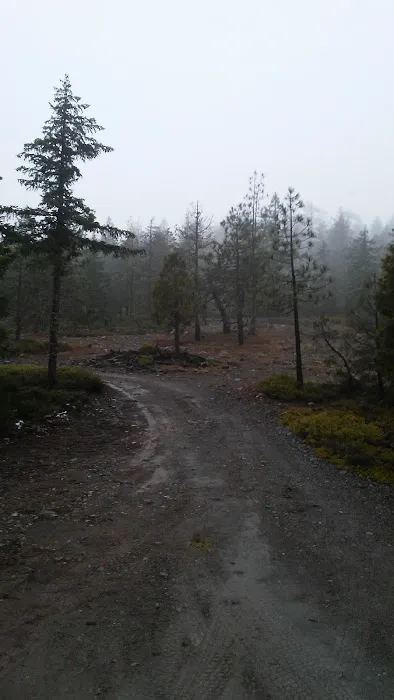 Mine Trail Campfire Lookout Picture 6