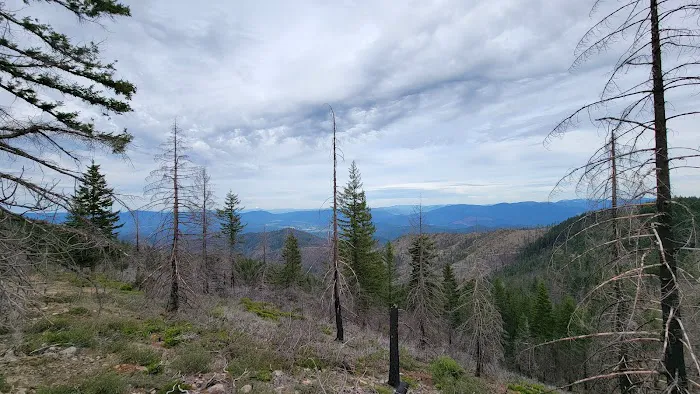 Mine Trail Campfire Lookout Picture 4
