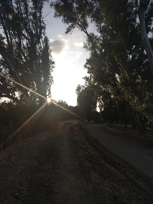 San Lorenzo Recreational Area and Campgrounds Picture 2
