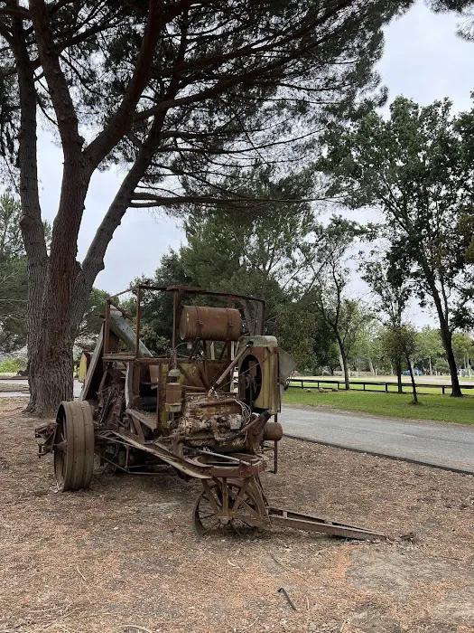 San Lorenzo Park Campground Picture 10