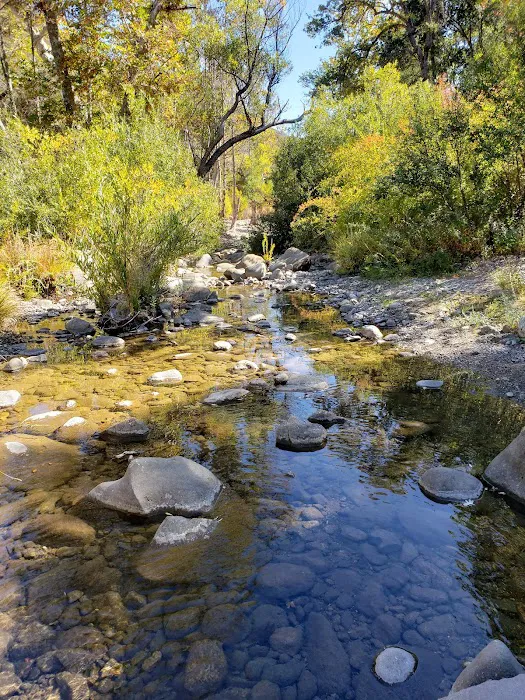Ponderosa Campground Picture 10
