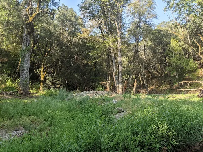 Ponderosa Campground Picture 3
