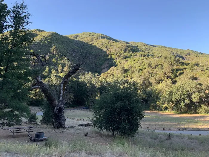 Ponderosa Campground Picture 7